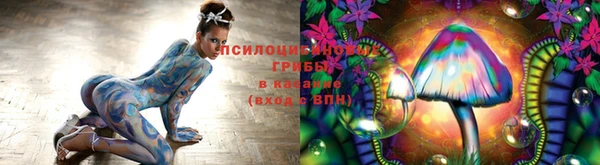 ПСИЛОЦИБИНОВЫЕ ГРИБЫ Балахна