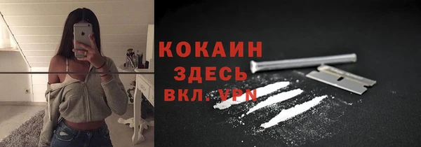 индика Балабаново