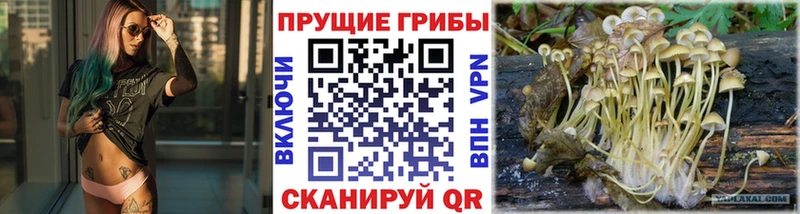 Псилоцибиновые грибы прущие грибы  Лабытнанги 