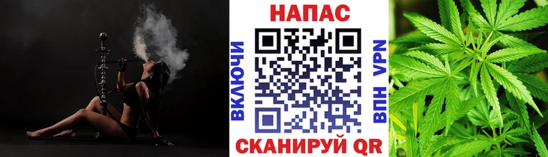 Канабис гибрид где найти наркотики Лабытнанги